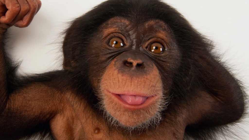 Photo Ark: Joel Sartore - National Geographic For Everyone In Everywhere