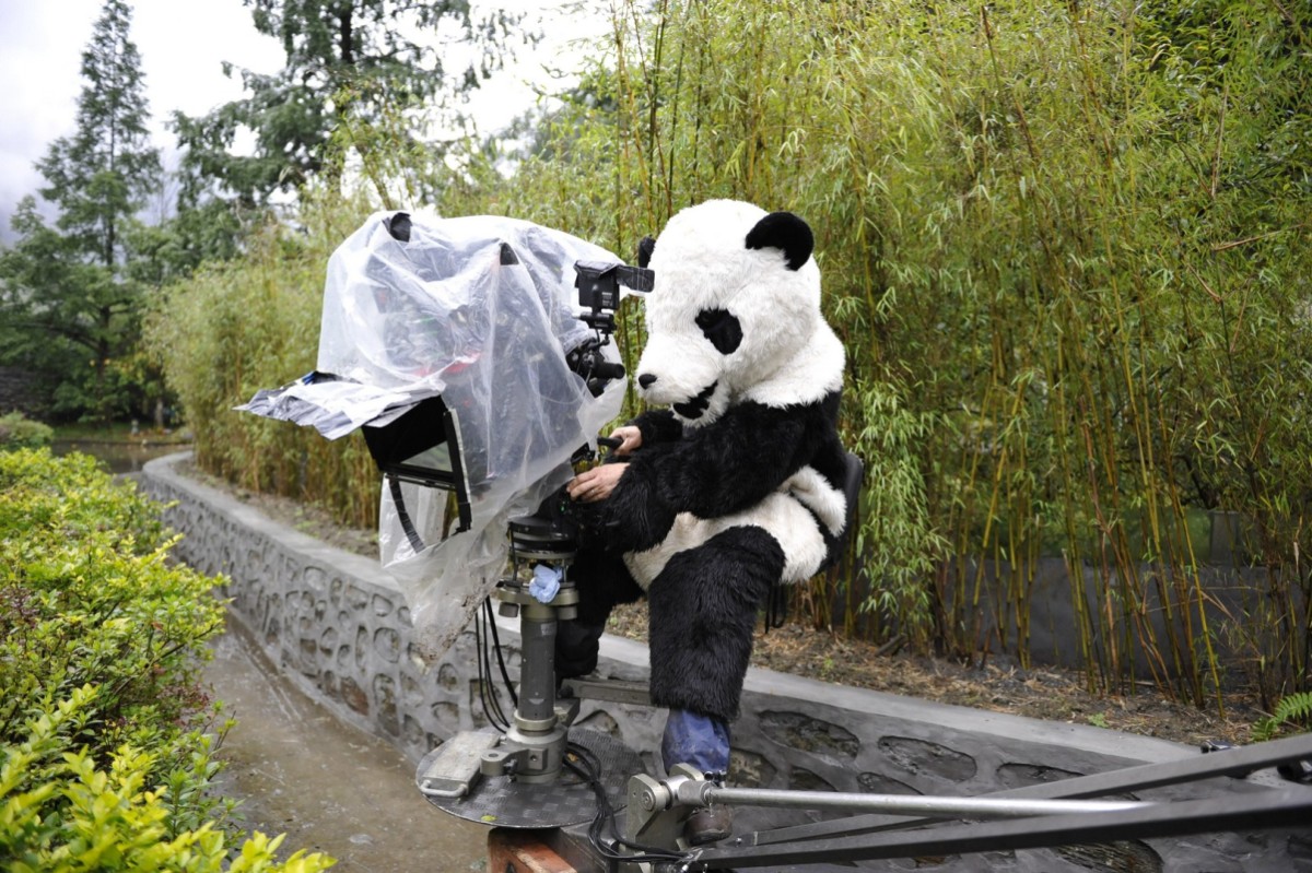 Giant Pandas: Bred In Captivity - National Geographic for everyone in