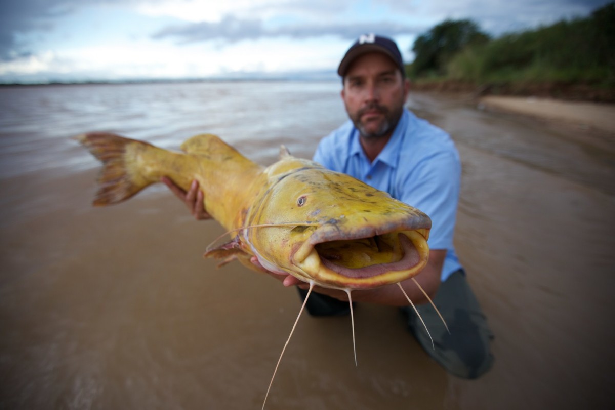 Monster Fish - National Geographic for everyone in everywhere