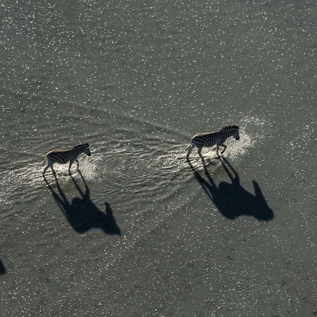 Okavango: River of Dreams