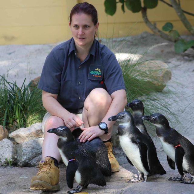 Secrets of The Zoo: Penguins