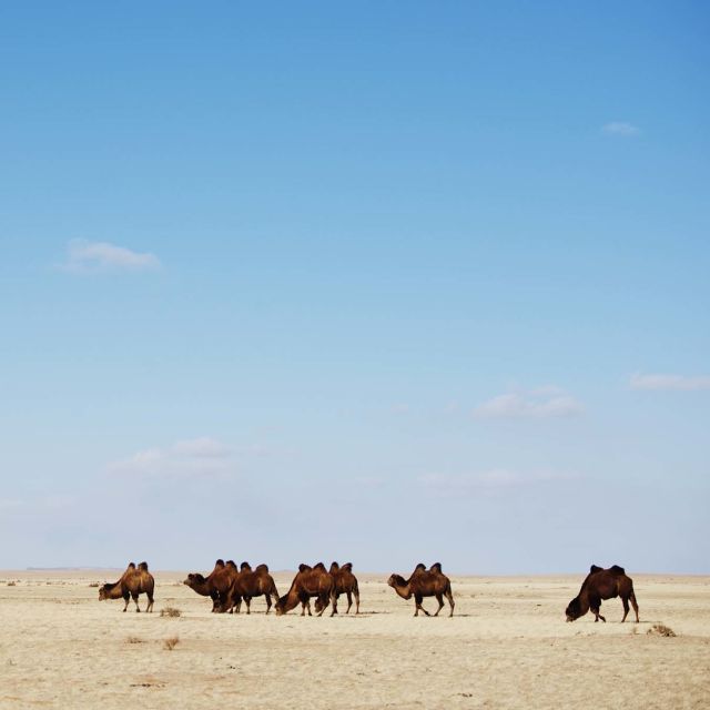 Wild Mongolia: Land of Extremes
