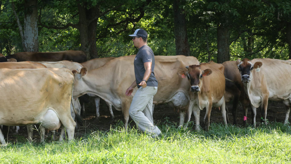 The Hatcher Family Dairy National Geographic For Everyone In Everywhere   602650.1024x576 